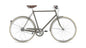 Gazelle Van Stael V7
